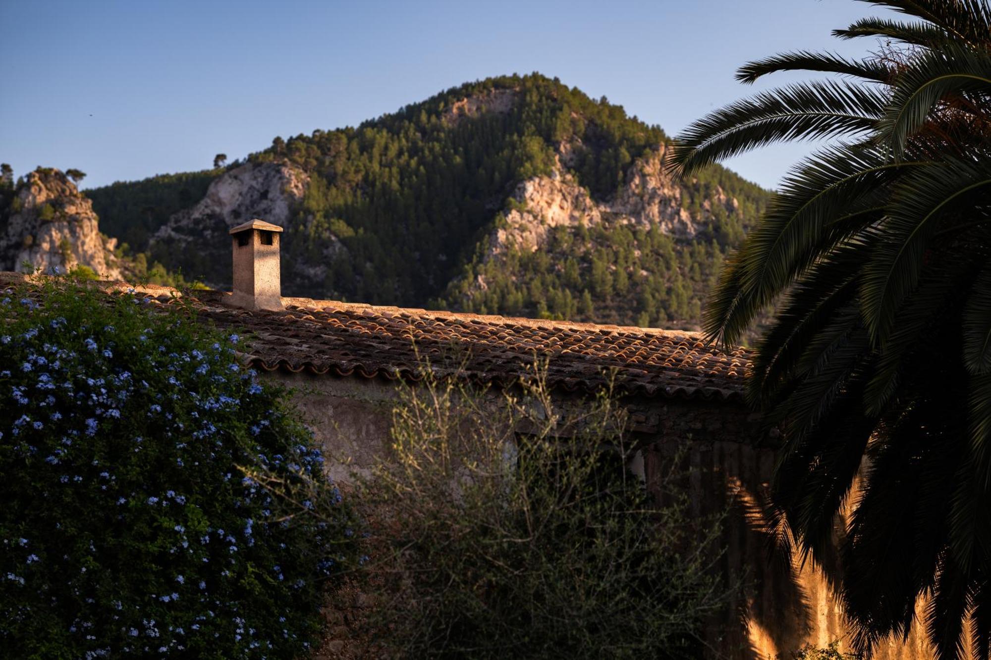 Agroturismo Son Boronat Calvia  Exterior photo